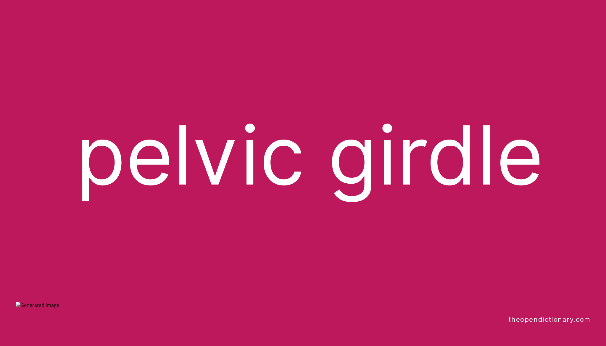 pelvic-girdle-meaning-of-pelvic-girdle-definition-of-pelvic-girdle